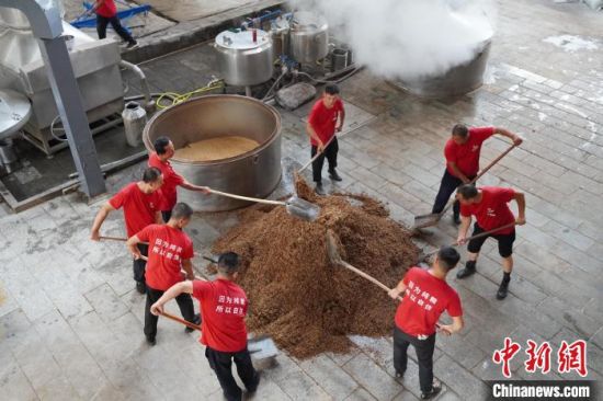 陇南徽县非遗传承,甘肃陇南非遗