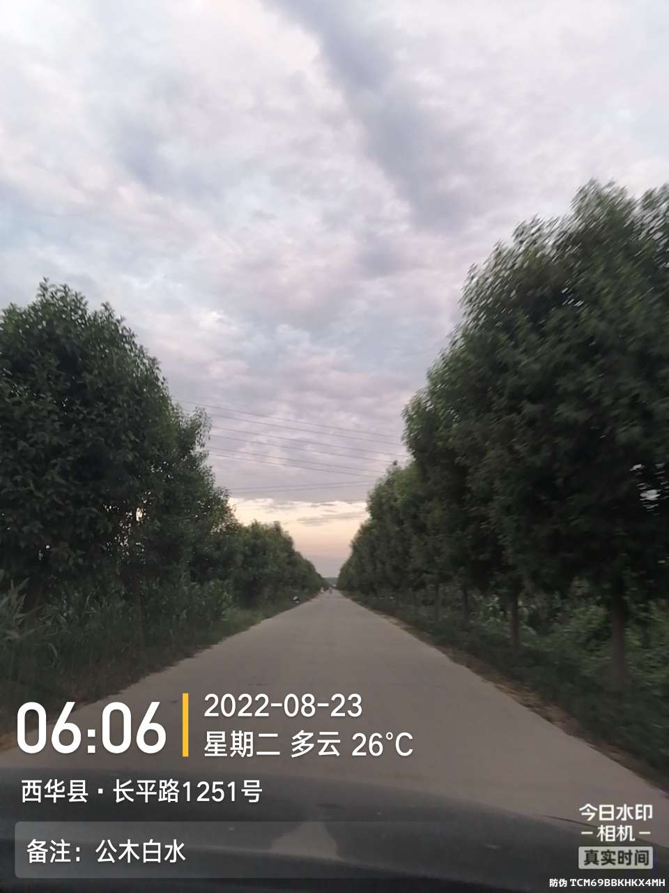 8月里面的鱼怎么钓,钓位选什么鱼最好