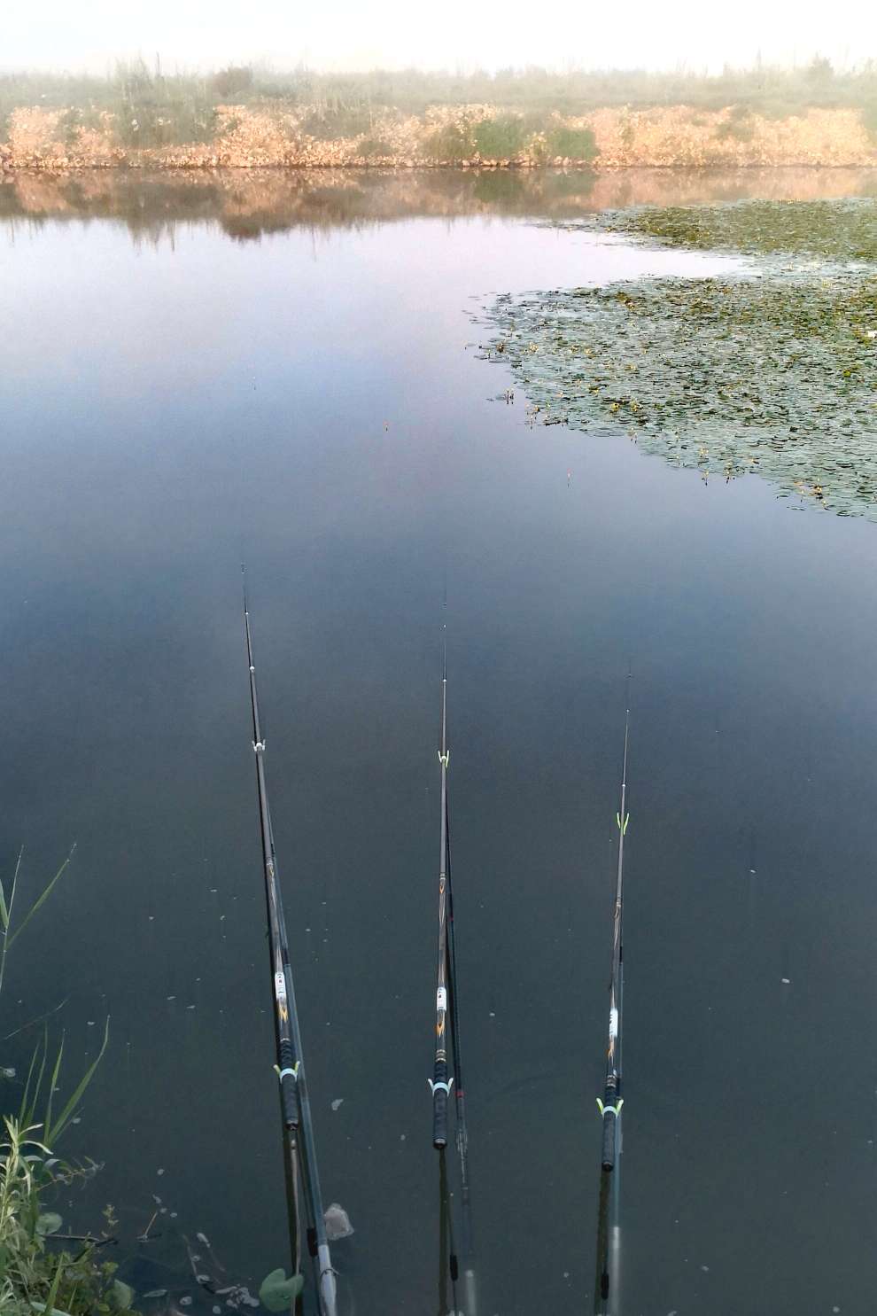 海兰湖野钓好去处,海兰湖钓鱼最佳地点