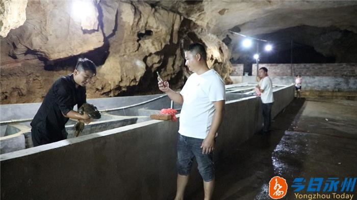 湖南永州道县哪里有养殖娃娃鱼的,道县养殖娃娃鱼的地方