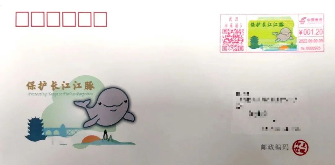 寄一只“江豚”给你，请查收