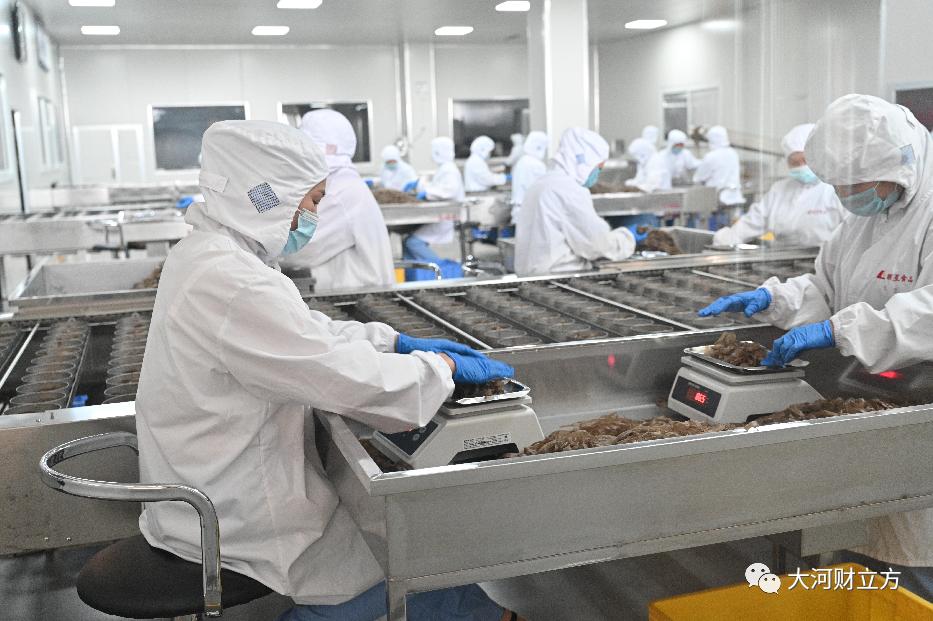 酸辣粉排行榜第一名生产基地,直击全国最大酸辣粉生产基地