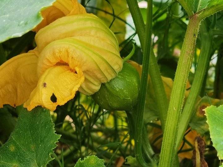 鐢板洯椋庡厜濂藉悆鍠濅笉鐢ㄦ剚,鐢板洯椋庡厜缇庨奔鑲ョɑ绫抽