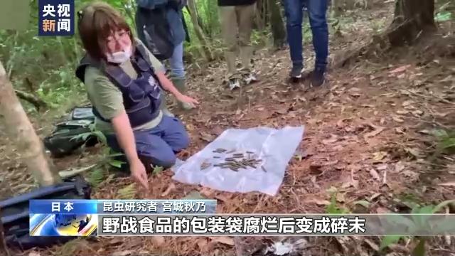 驻日美军基地内部居民区,美军驻日基地扰民