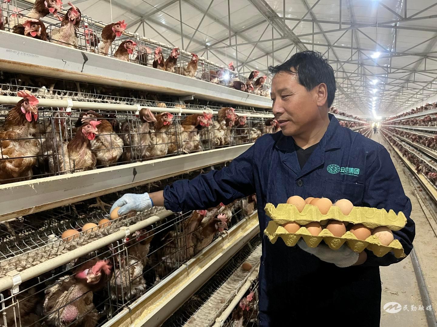 介绍养殖致富带头人的典型案例,养殖业发家致富带头人