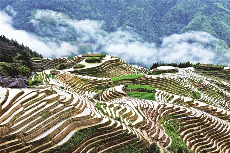 涔嬩箮鑰呬篃鍏堢敓,涔嬩箮鑰呬篃璇楄瘝