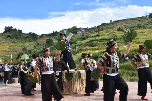 哈尼梯田稻鱼鸭种养迎丰收,梯田稻花鱼丰收