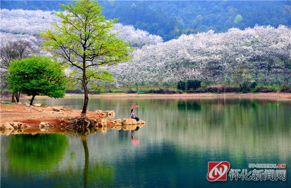 靖州苗族侗族自治县20周年县庆,靖州苗族侗族自治县30周年县庆