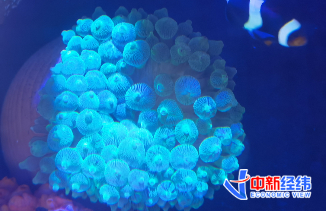 在酒吧一个月赚5w,酒吧一个月能赚3万