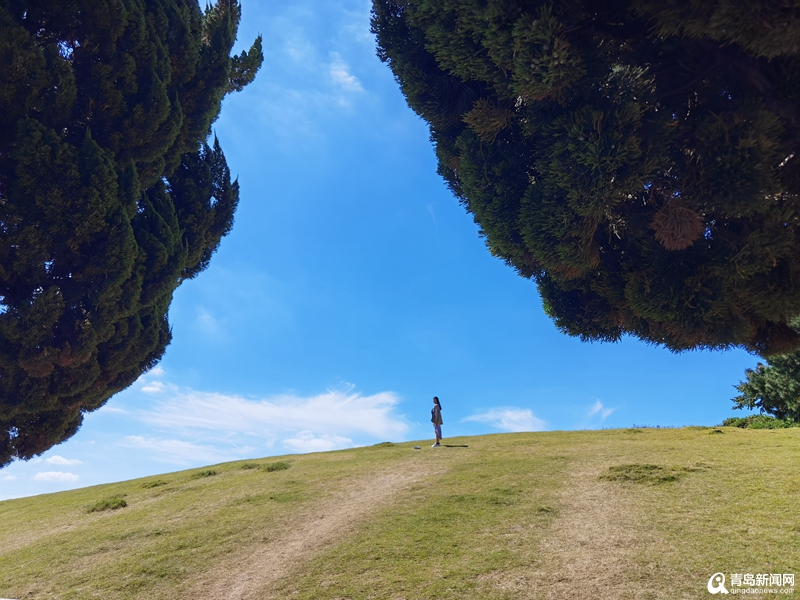 老城区上新、台东升级、小麦岛添新景……“国庆”长假全新方式打开青岛