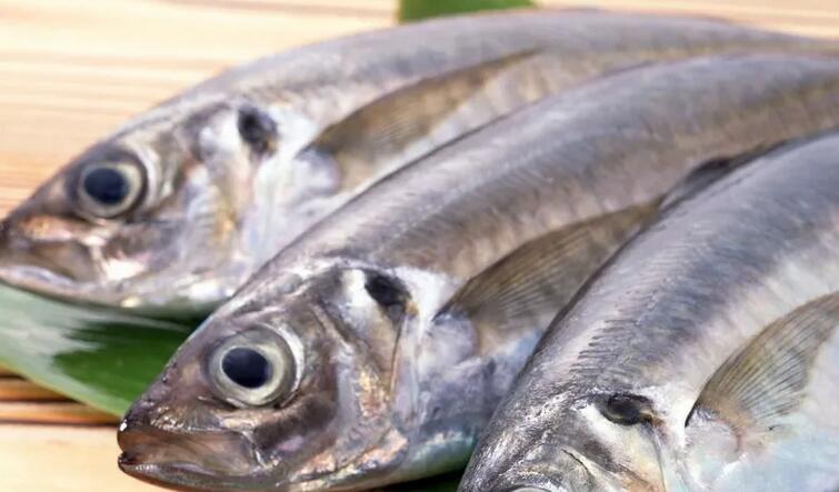 原来鱼就是这样吃才有味道,夏天鱼吃什么最香