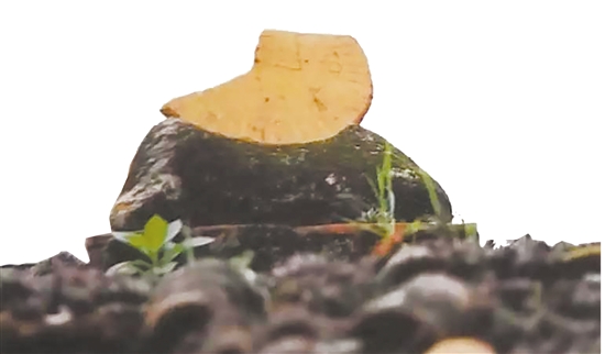 泉州上古智慧,古泉州人