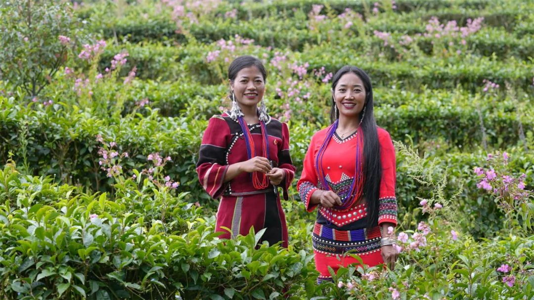 奋进新征程建功新时代“西盟姐妹”返乡创业用青春追梦圆梦