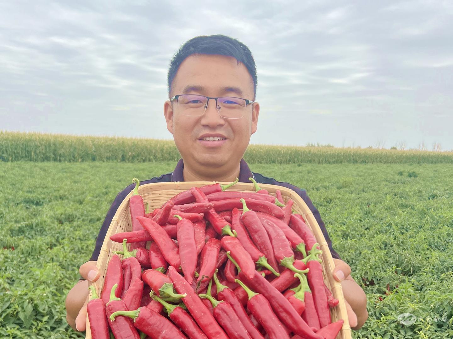 民勤90后创业项目,90后回乡创业电商团队