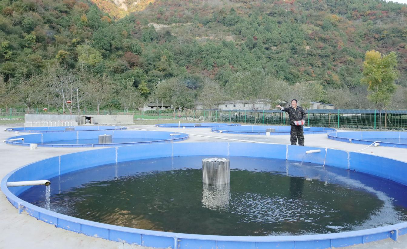 甘肃陇南乡村美景,成县乡村振兴项目最新消息