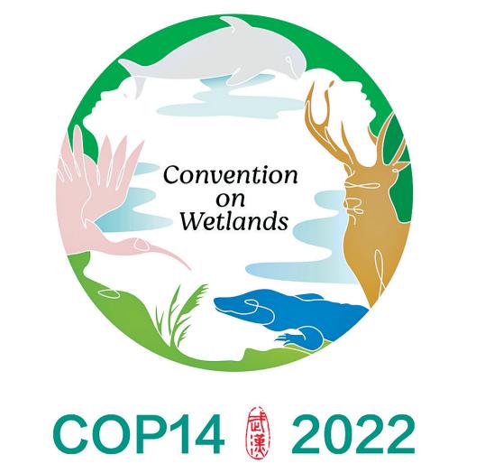 你凭什么叫“汉宝”？