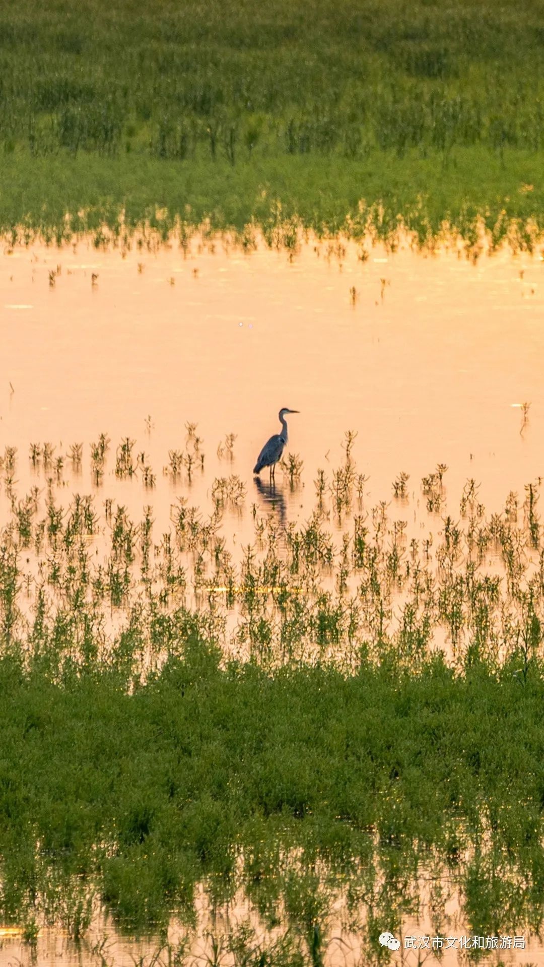 你凭什么叫“汉宝”？