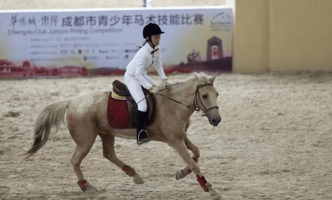 2019年中国马都第八届马术大赛,2019马术三项赛事