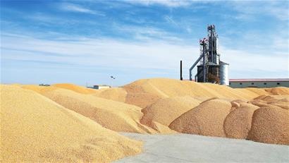 逊克县玉米产量,逊克县国民生产总值