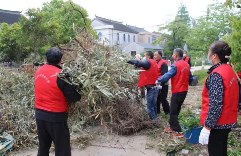 常熟市梅李镇：以聚沙成塔之力，创人居环境之美