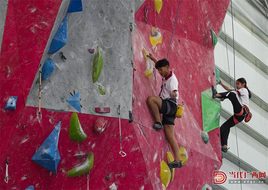 南宁市义务教育均衡发展,广西义务教育均衡基本条件