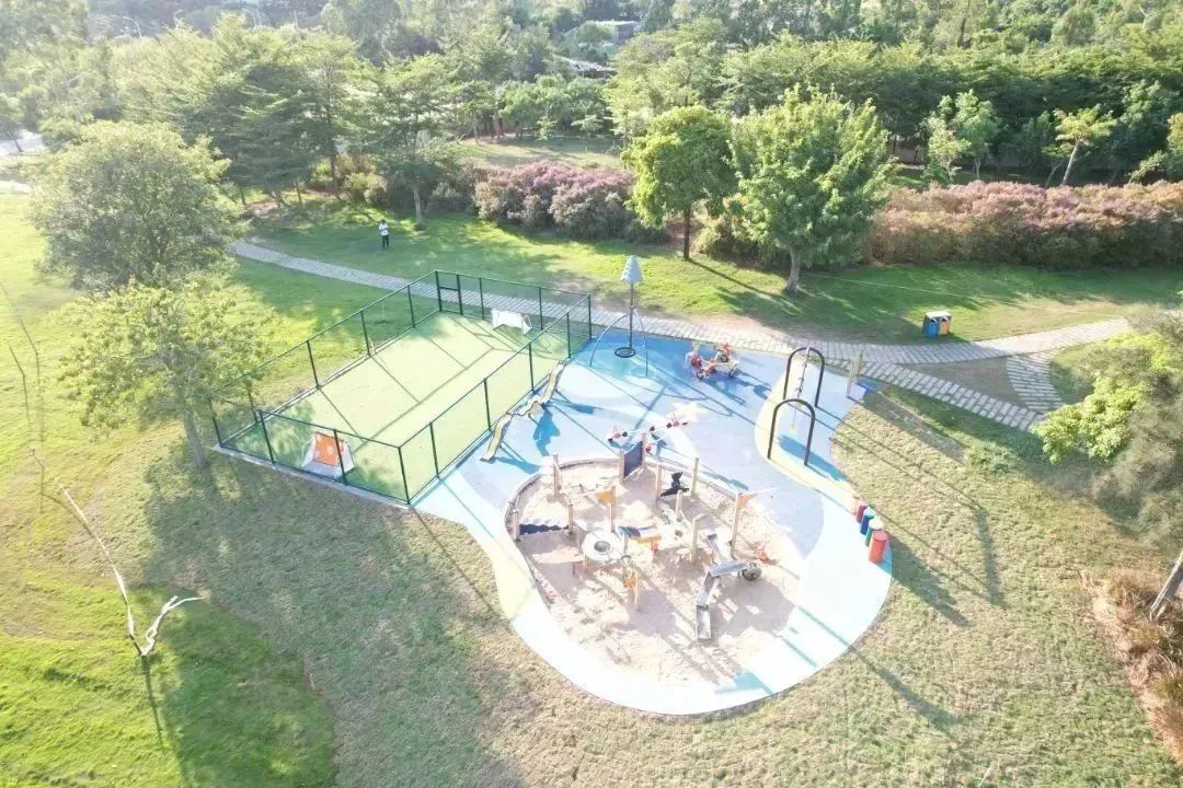 厦门运动景区,厦门周末好去处体育公园
