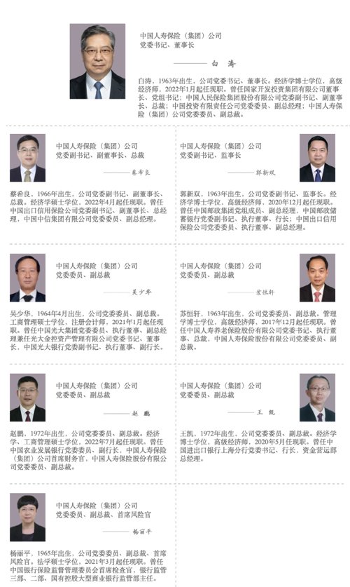 国寿保险重振战略,国寿财险发展思路