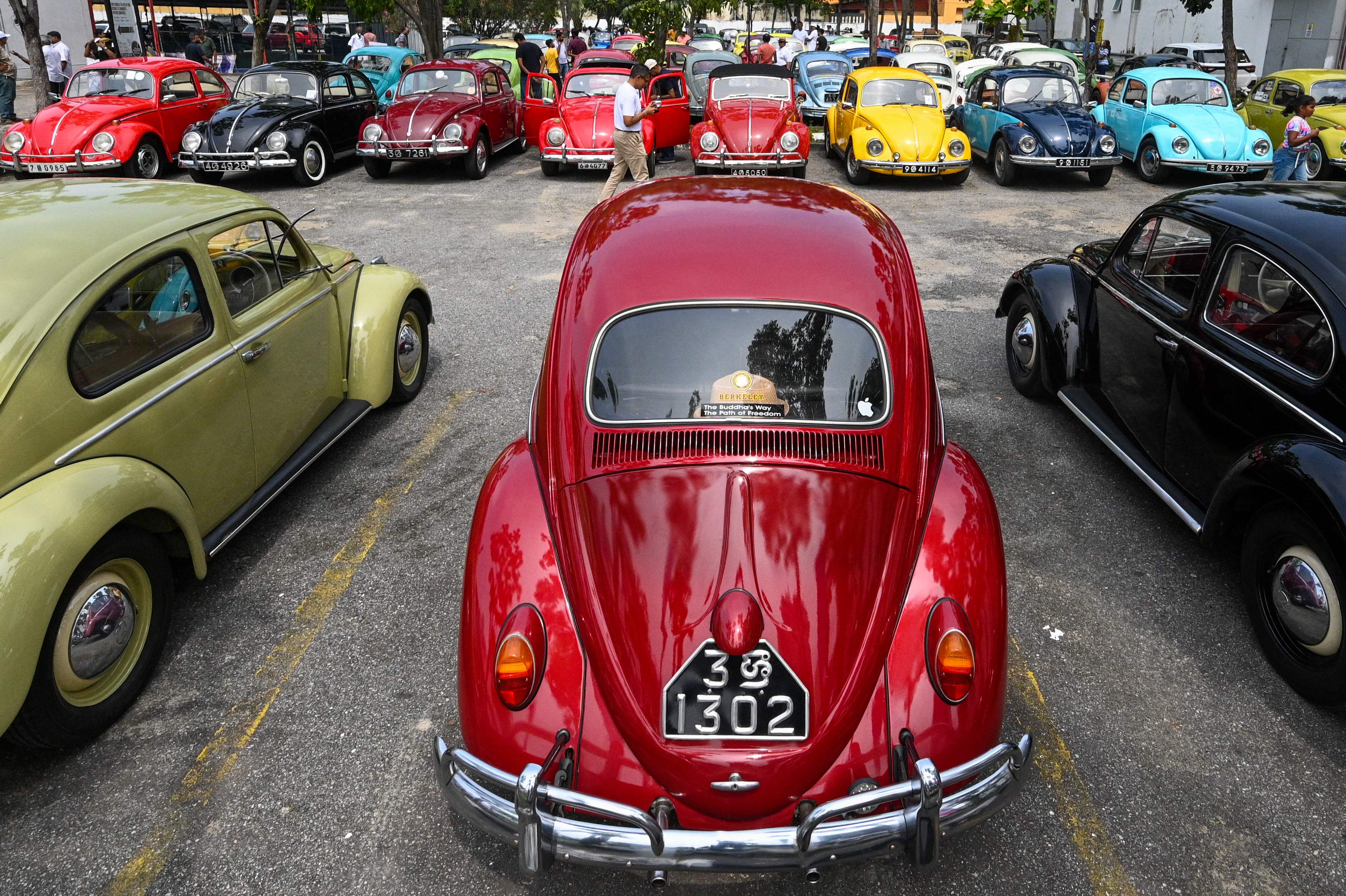 芬兰甲壳虫,甲壳虫国外