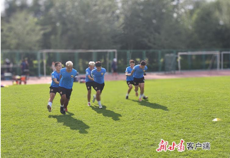 黑马跨栏一飞冲天,甘肃泾川县黑马