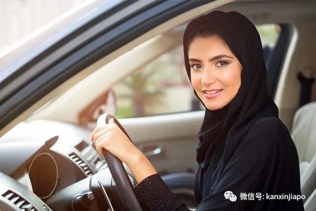 卡塔尔新加坡视频,卡塔尔和新加坡哪个大