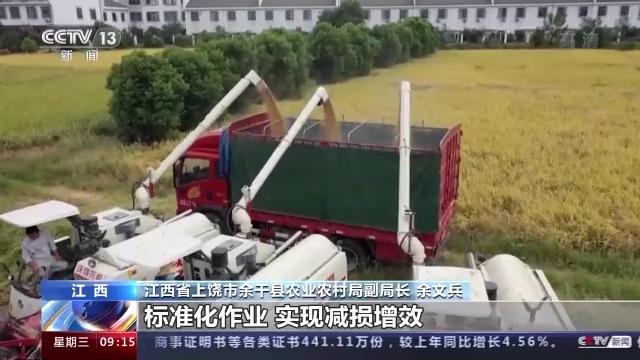 粮食全链条减损包括哪些环节,中国粮食生产取得重要成就