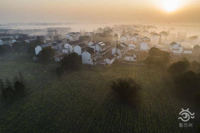 一村两师，全国推广！苏州乡村更“吃香”了