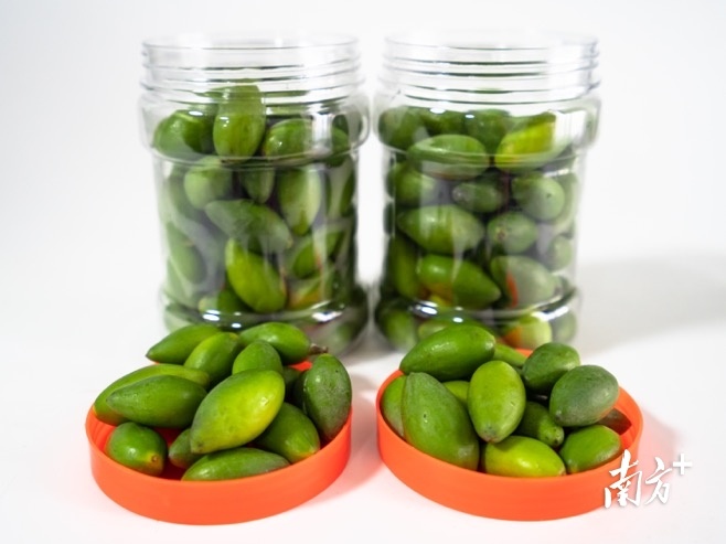 普通橄榄与三捻橄榄的区别,市面上好吃的橄榄有几个品种