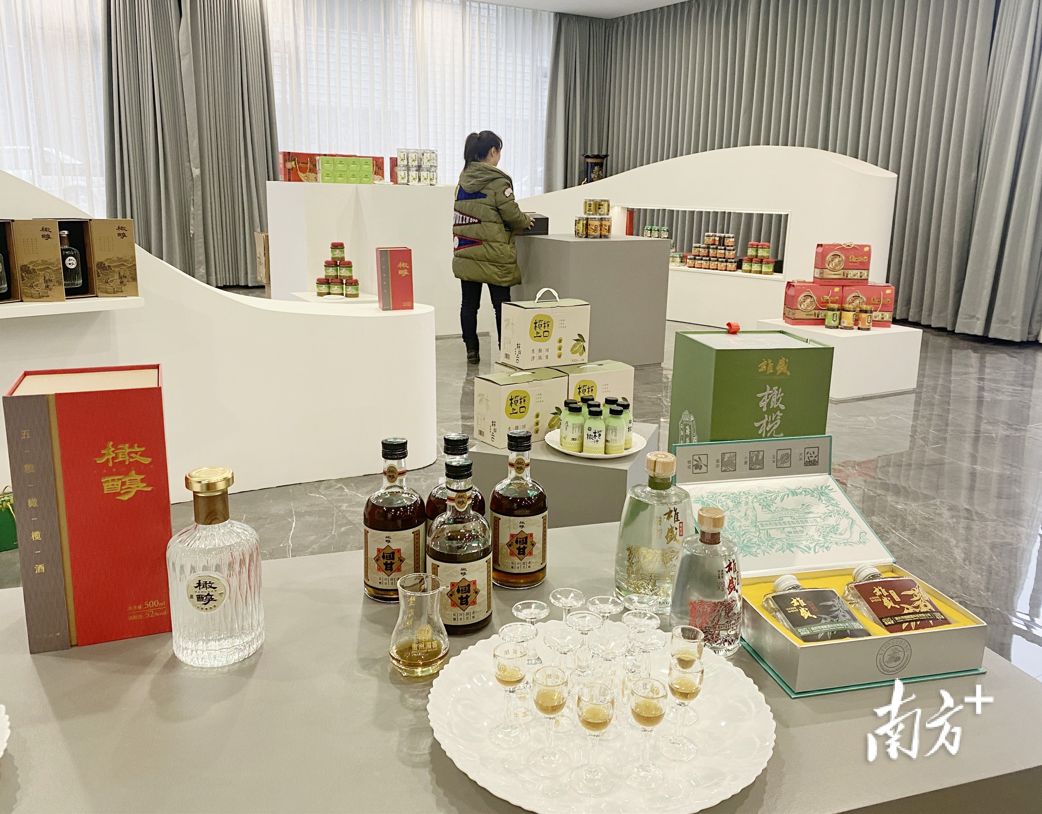 南方特稿丨小橄榄大突围