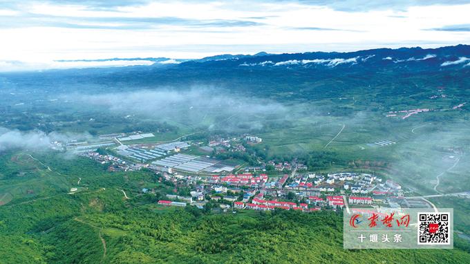 我的家乡蒿坪,我的家乡在蒿坪