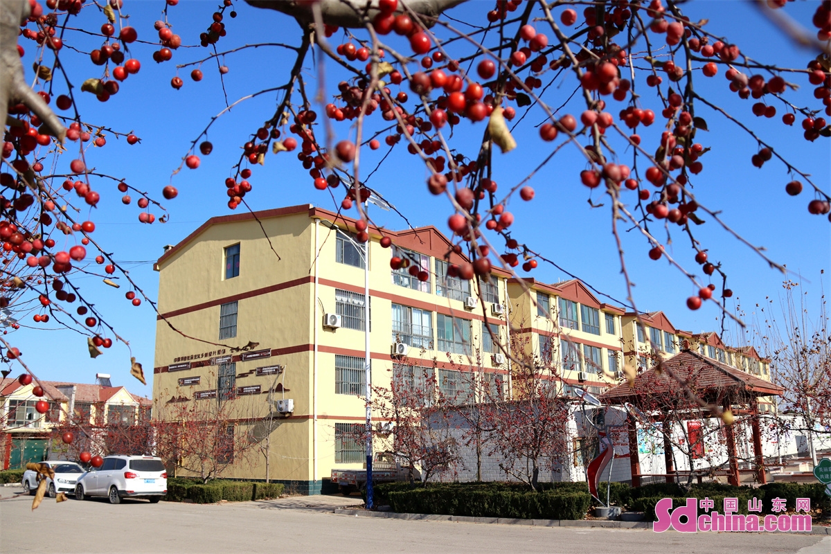 山东聊城乡村风景,聊城美丽乡村绿化石材