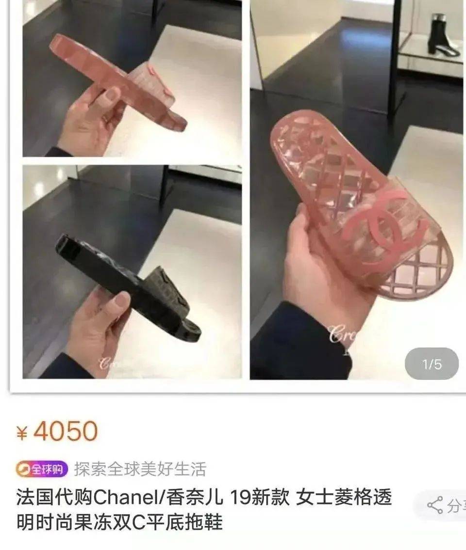 加拿大鹅到底有多受欢迎,加拿大鹅有多受欢迎