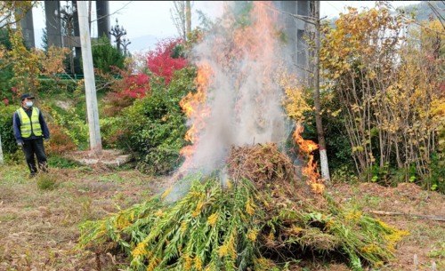 盘点|2022年，商洛小里都帮了哪些忙？