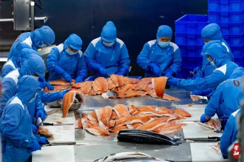 一条三文鱼入关过程,一条三文鱼