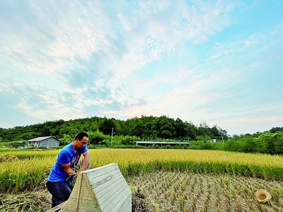 我的创业理想和梦想,我们的理想播种在希望的田野上
