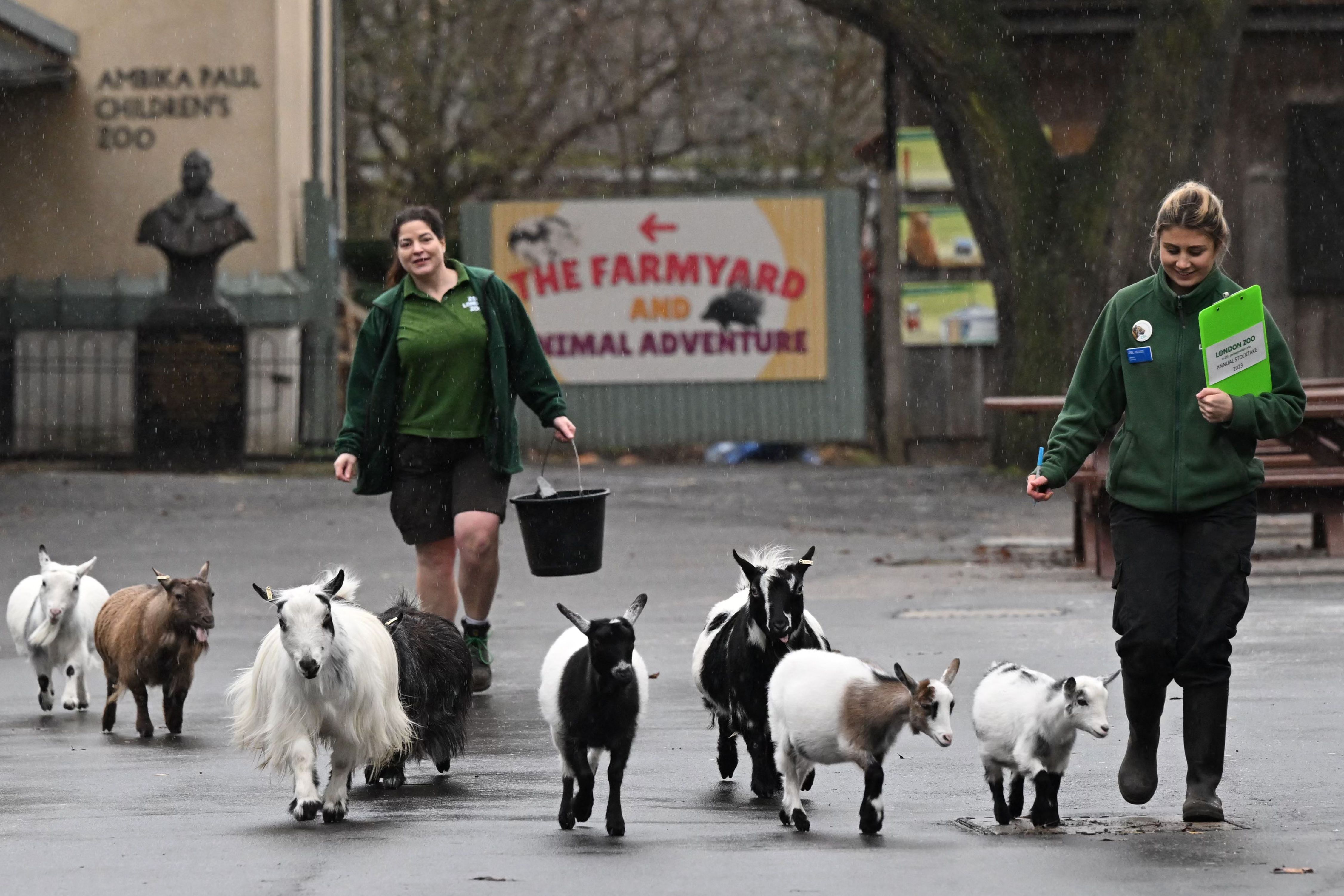 伦敦动物园动物大盘点,欧洲伦敦动物园