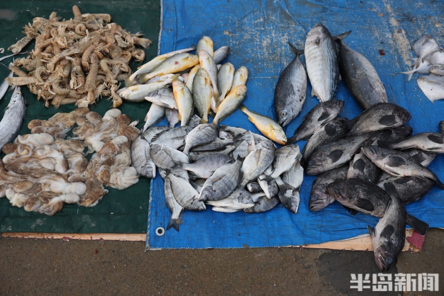 渔船海鲜早市,海鲜市场中国渔船