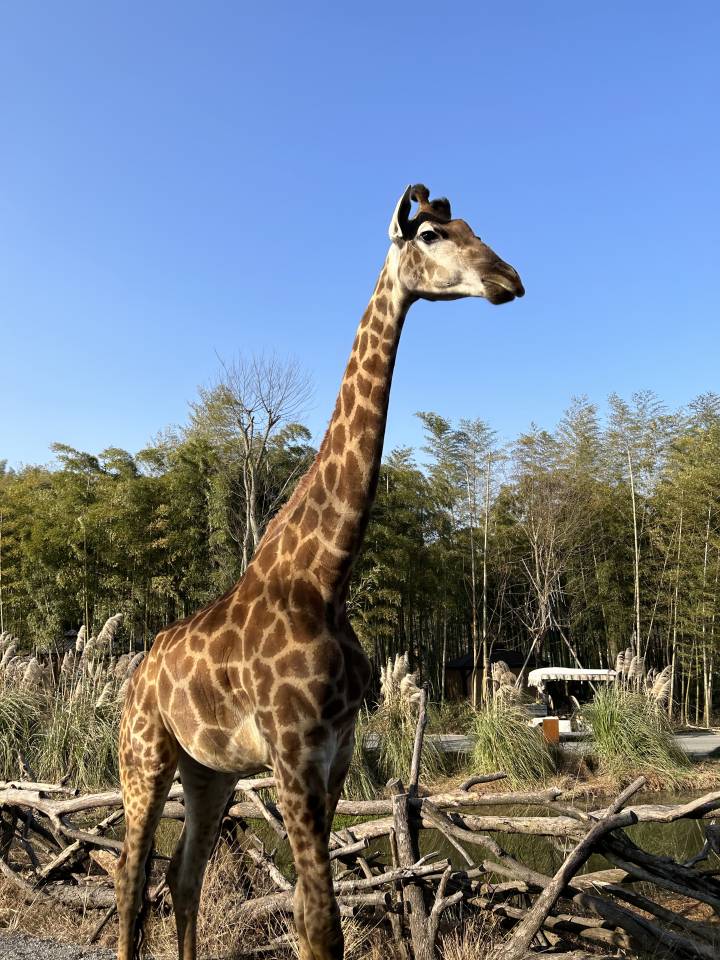 国内旅游小众但值得一去的地方,人少景美的小众冷门旅游地