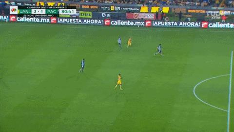 帕丘卡vs老虎大学,老虎大学vs帕丘卡预测