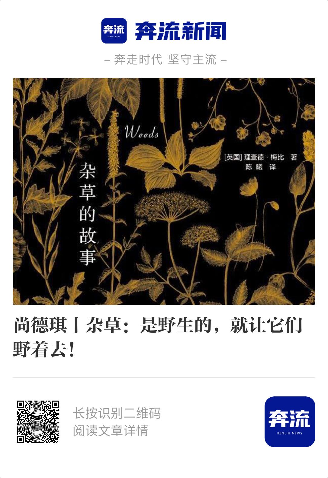 2022年度文学好书榜推荐书单,书籍推荐经典好书18年