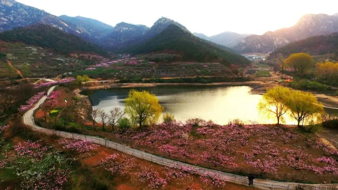 文旅部国家级乡村旅游重点镇,山东发布首批精品文旅小镇名单