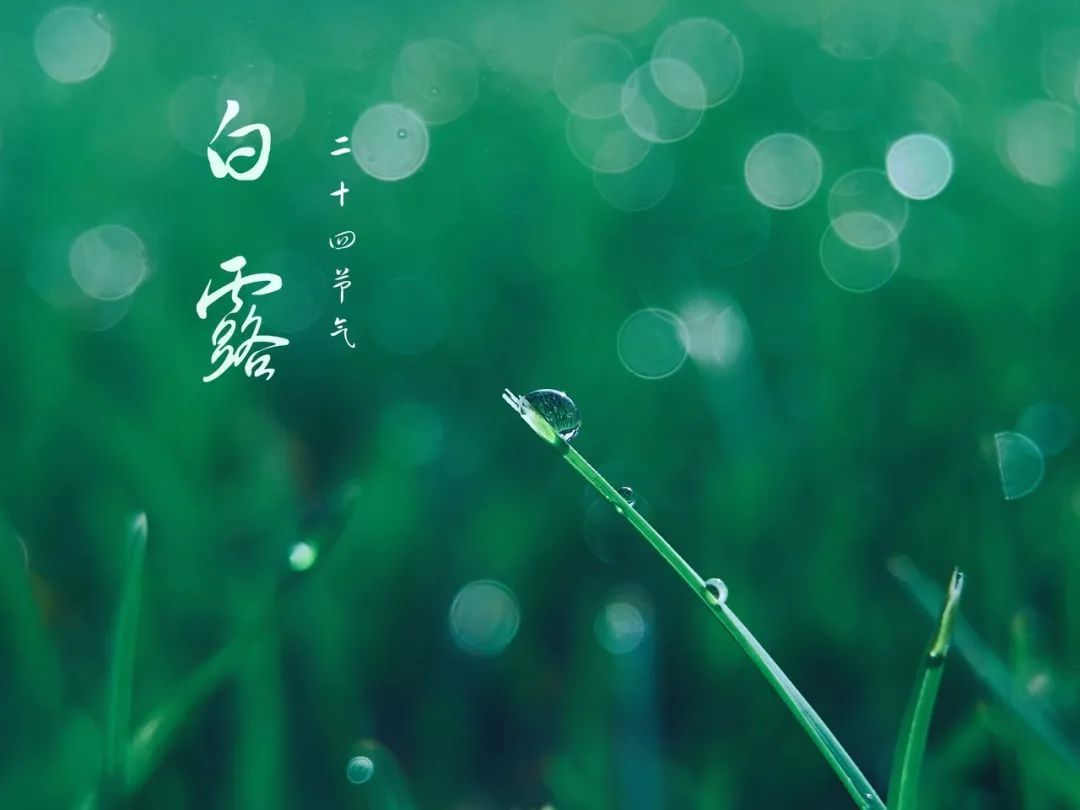 兔年每月有几个节气,兔年1月份日历