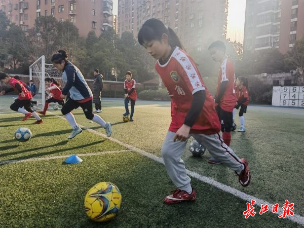 瓒崇悆灏忓皢灏忚姳,瓒崇悆灏忓皢瀵掑亣姣旇禌