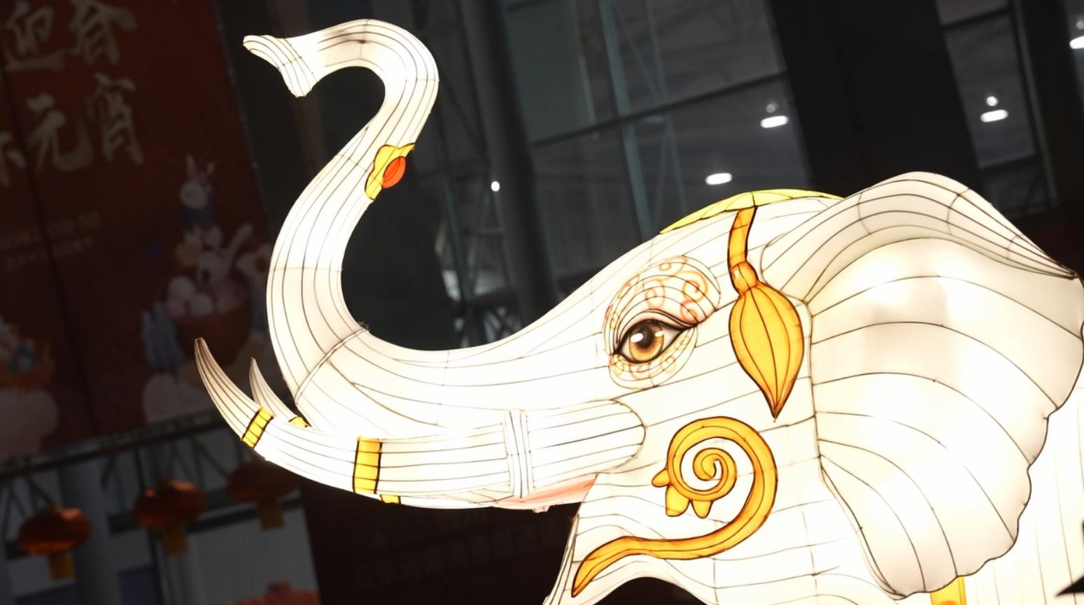 视频丨自贡彩灯点亮蓉城夜