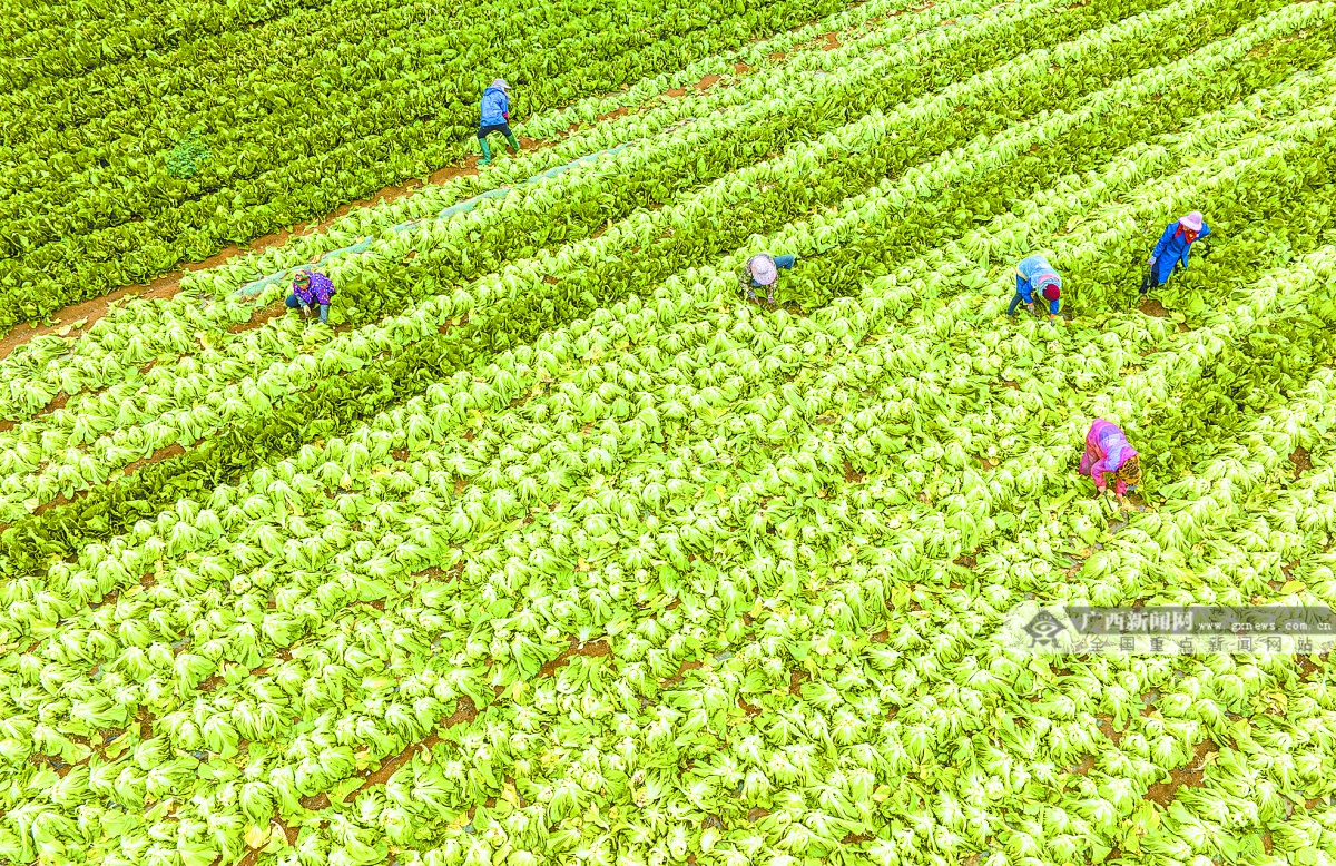 2022年11月22日焦点图,2021年12月2日焦点图